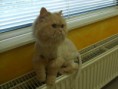 /album/fenykepgaleria/a35-jpg/
